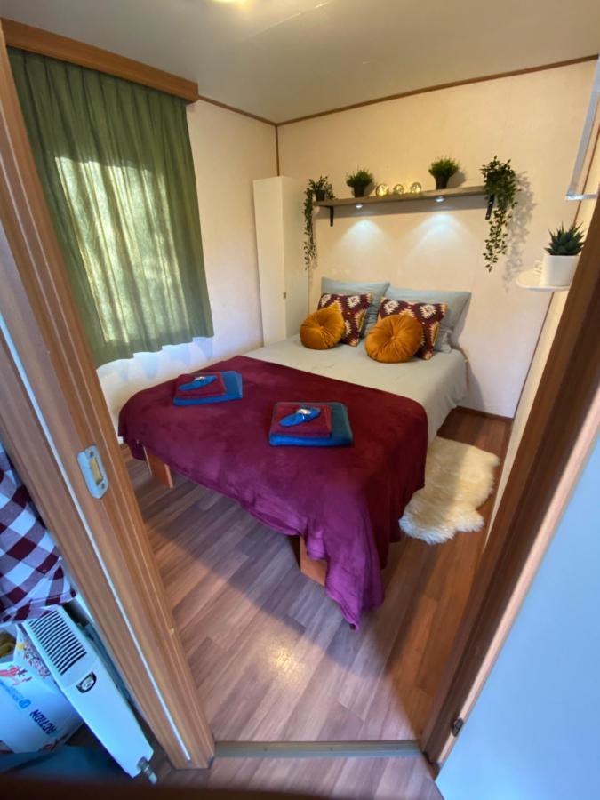 Gezellige Chalet In Bosrijke Omgeving Villa Anloo Екстериор снимка