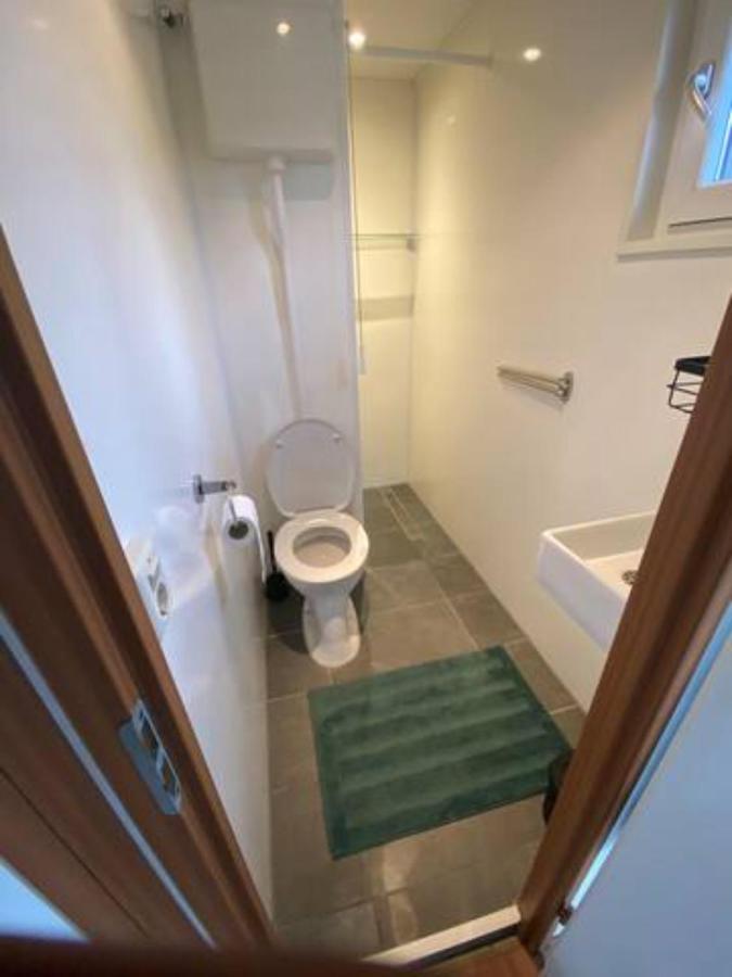 Gezellige Chalet In Bosrijke Omgeving Villa Anloo Екстериор снимка